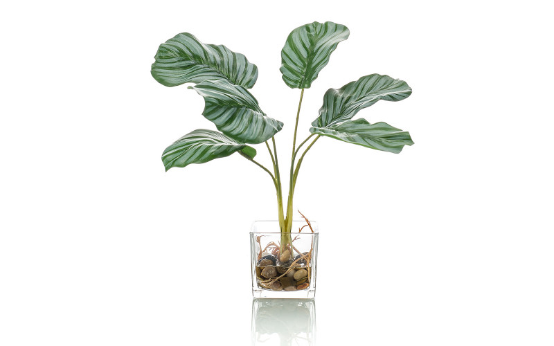 Calatea artificial referencia 426779, plantas artificiales